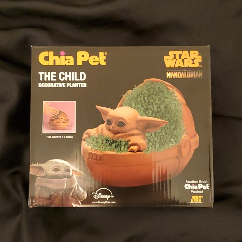 The Child Chia Pet